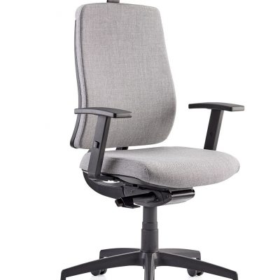 absolute-upholstered-and-mesh-back-high-back-task-chair.-band-1-fabric-107-p